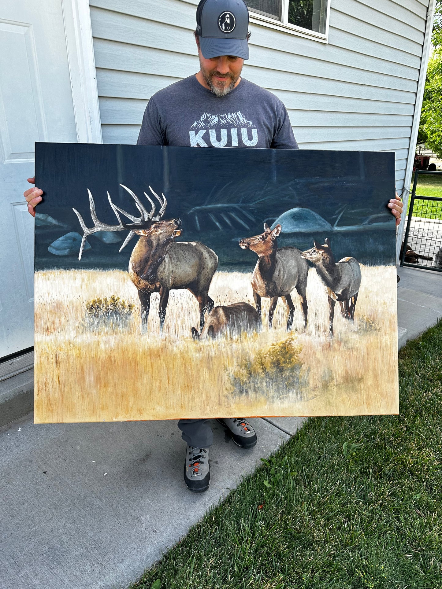 Bugling elk