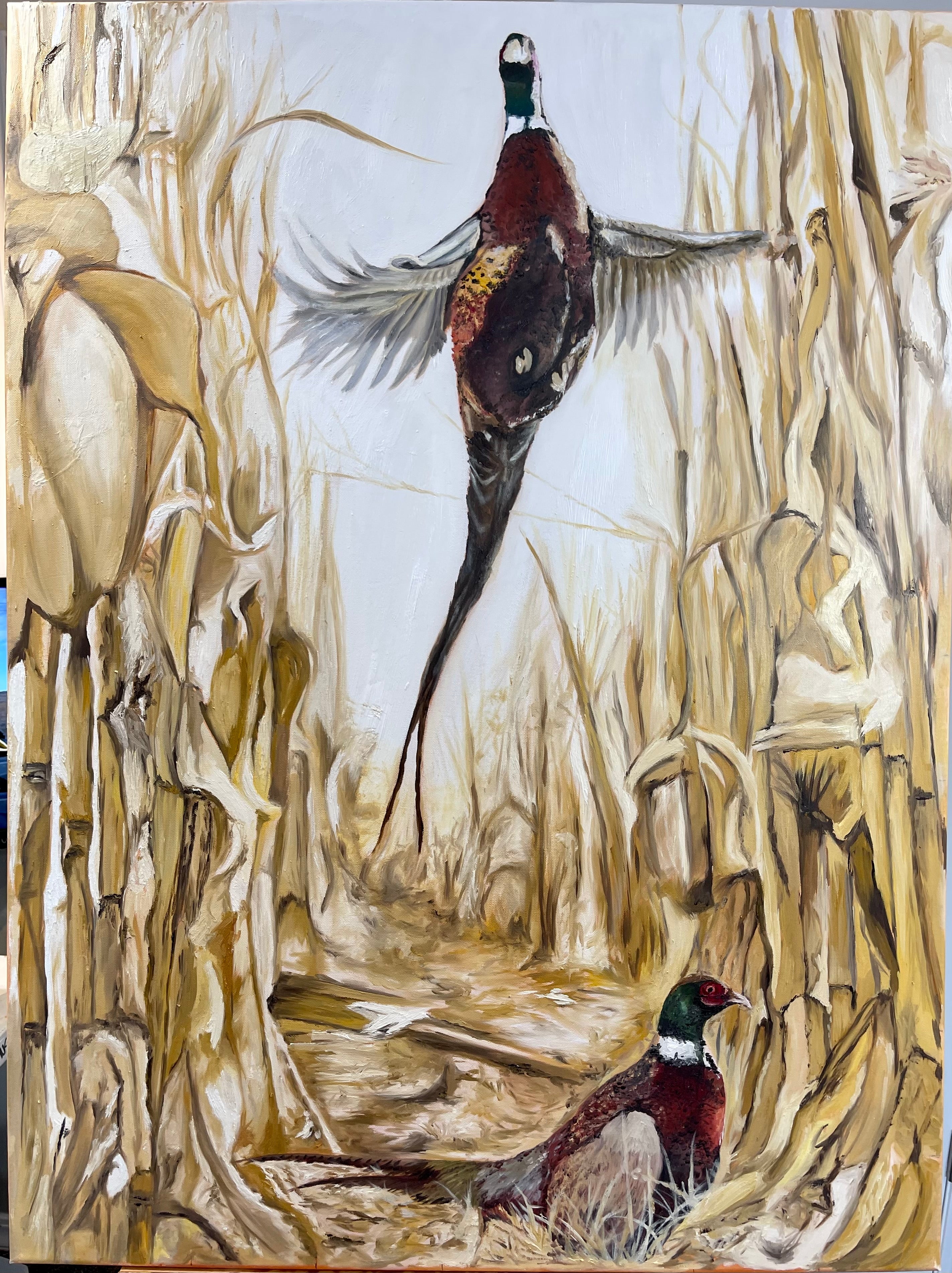 Rooster Row – Alan Rasmussen Artwork