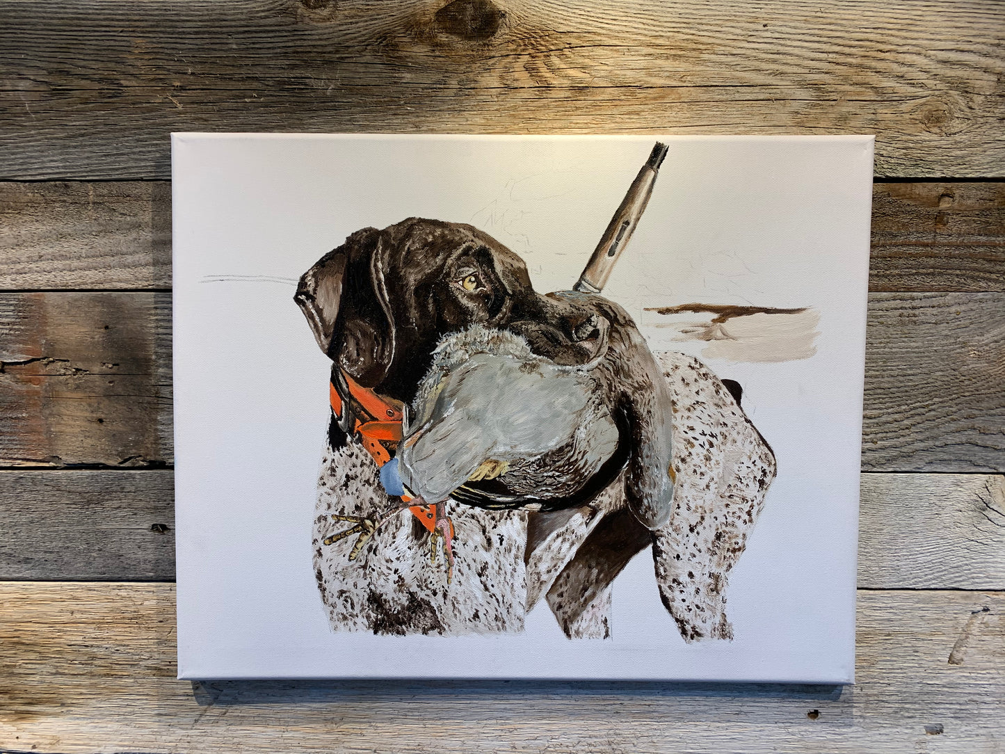 German Shorthair Retrieving