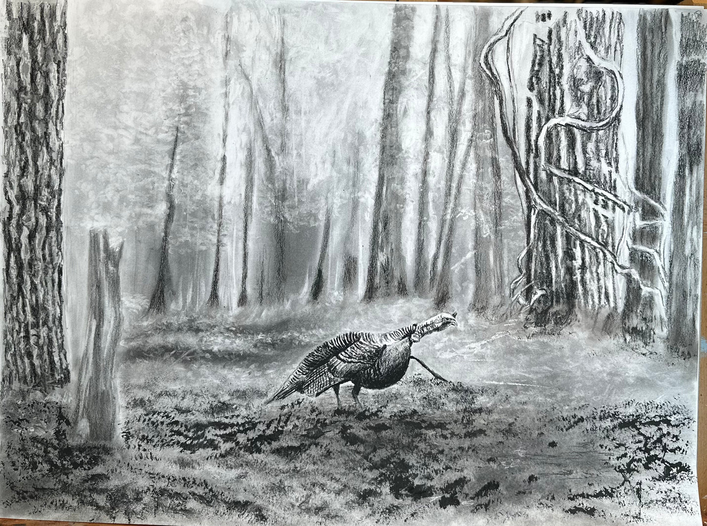 Holler in the woods