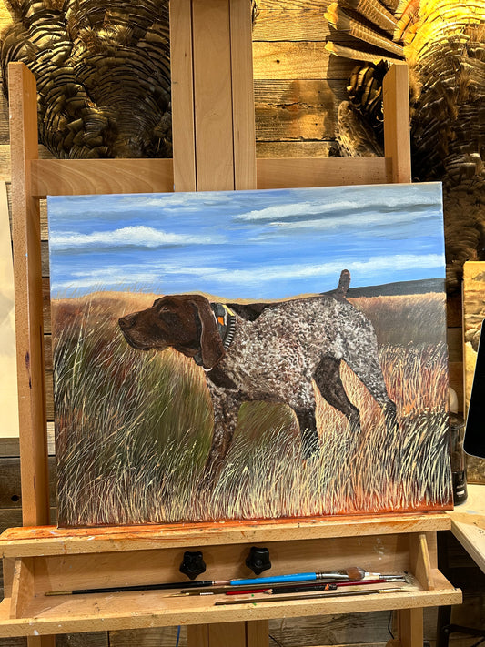 Live Action Shorthairs "Tucker"