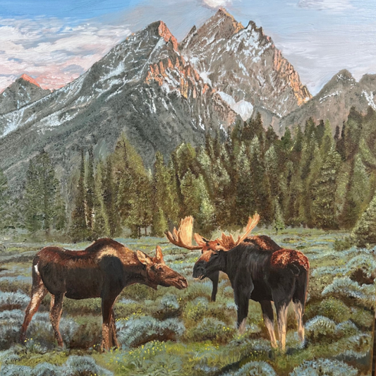 Moose in the Tetons