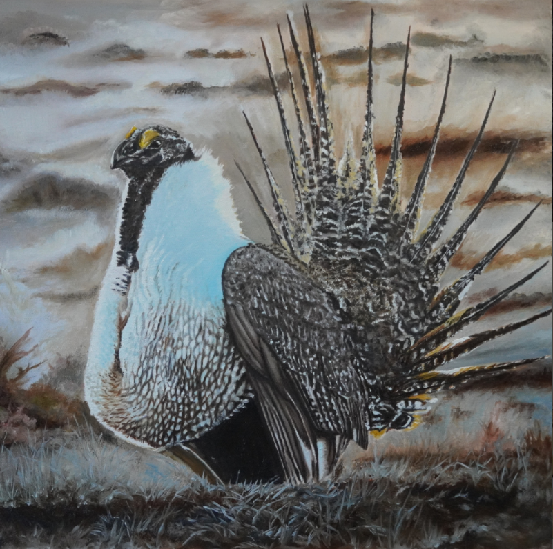 Saltator of the Sage